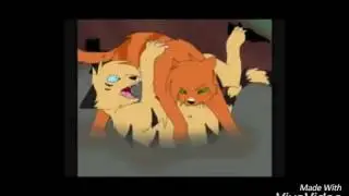 Коты Воители: Огнезвезд, Звездоцап,Коршун и Ежевика