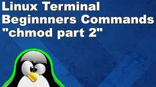 Linux Terminal for Beginners Commands 12: Changing Permissions with chmod part 2