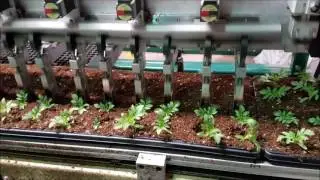PlugPlanter 24S Servo Driven Transplanter 1