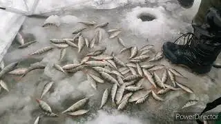Открытие сезона