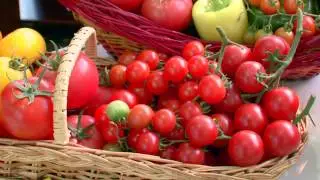 Agro Sanoat