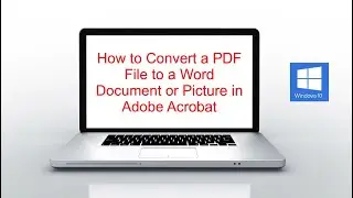 How to Convert a PDF File to a Microsoft Word Document or Picture in Adobe Acrobat