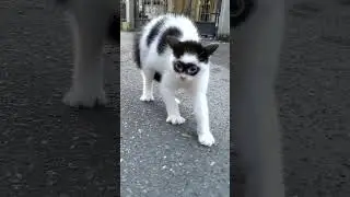 Pejantan Tangguh #lucu #hiburan #komedi #fyp #viral #shorts #shortsvideo #youtubeshorts