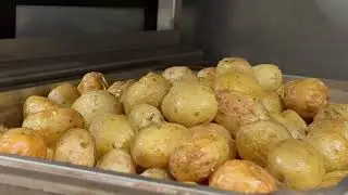 L’Équilibriste : le pari du végétarisme dans la capitale de la gastronomie