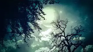 Звуки природы. Ночь в джунглях. Музыка для сна