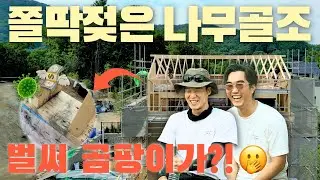 [ENG] Day 15 of Building My Own Home with a Construction Company Representative 🏠 Mold in a Woode...