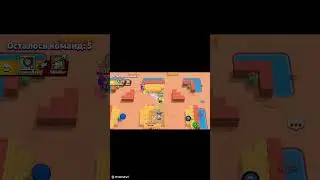brawl