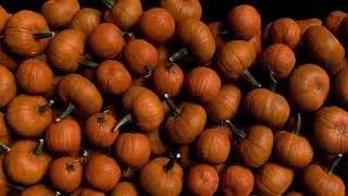 Halloween/Autumn Pumpkin Transition Reveal with Alpha Matte. Royalty Free Animation 4K ULTRA HD