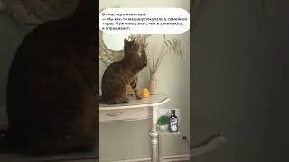 Мастер маникюра. #анекдототкожаного
