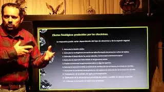 Efectos de la citocininas en la fisiología de las plantas