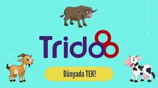 Firma Tanıtım Animasyonu | Trido Dondurma | 2D Animasyon Reklamları