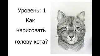 1 уровень. Как НАРИСОВАТЬ мордочку КОШКИ?