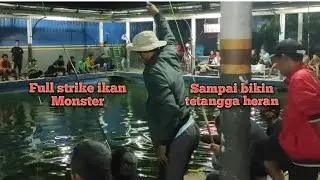 Full Strike Ikan Lele sampai tetangga di bikin heran bos
