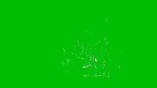 crack green screen video from WD green screen video