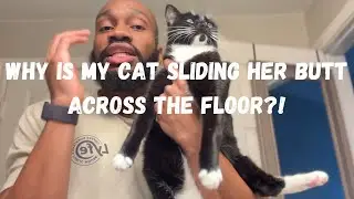 WHY IS MY CAT SLIDING HER BUTT ACROSS THE FLOOR?!
