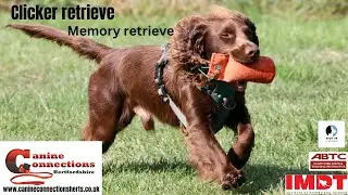 Loki memory retrieve