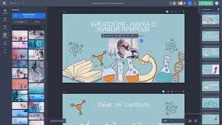 Как создать онлайн презентацию в Wepik