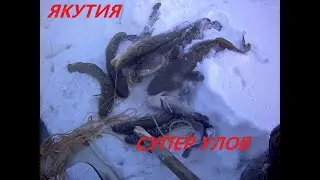СУПЕР РЕЗУЛЬТАТ 2022!!! НАЛОВИЛ КУЧУ МОНСТРОВ!!! ЕЛЕ УТАЩИЛ!!!