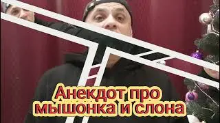 Анекдот про мышенка и слона