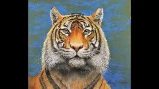 come disegnare una Tigre realistica tutorial