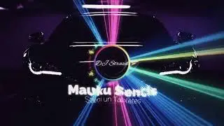 Mauku Sencis - Stieņi un Tabletes (Bass Boost)