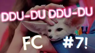 BLACKPINK - DDU-DU DDU-DU FC #7