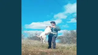 Lu Billy