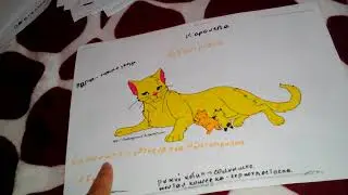 Племя Дождя ( мое племя )