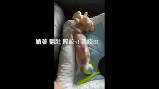 Mr. Dobby's Channel (episode 4) - 天使 vs 小惡魔?!