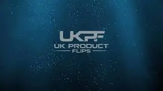 YouTube Logo Animation Intro 