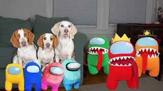 Dogs vs. Among Us in Real Life! Maymo & Dogs Get Among Us Christmas Surprise!