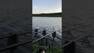 #карповаяловля #carpfishing #карповаярыбалка #fishing #карпфишинг #бойлы #прикормкадлярыбалки