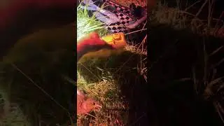 Отправлю почтой рыбакам…