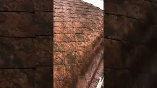 Медная кровля. Штучная чешуя
