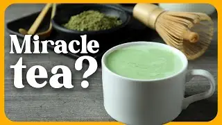 Why everyone is talking about Moringa tea