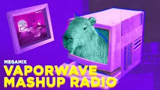 ｖａｐｏｒｗａｖｅ mashup radio
