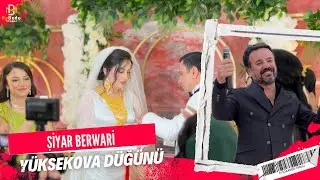 Şiyar Berwari - Yüksekova Düğünü [©️2024 ] ByBedo