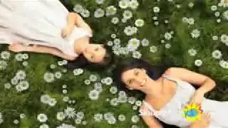 Sinupret Commercial BETTER QUALITY
