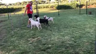 21 de julio de 2017