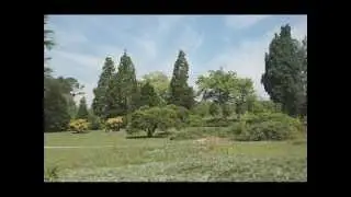 COOL PLANT PROFILES: JUNIPERS WE NEED