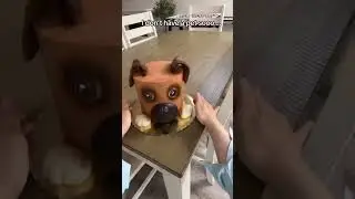 Doing the TikTok Taylor swift song with a pet trend (I don’t have a pet)