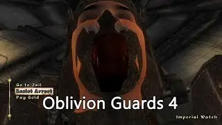Oblivion Guards 4