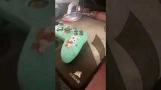 Playing around with a new Nintendo switch pro controller