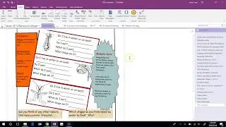 OneNote 2016: Working with PDF attachments and Print Outs