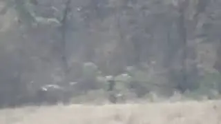 #Снайперы уничтожили боевиков #ВСУ