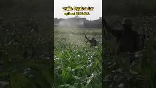 Teknik aplikasi biosaka wajib ngabut