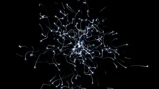 Realistic Swarm Particles effect Adobe After Effects & Trapcode Particular Tutorial