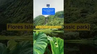 Kerala: India's First Beautiful Village vs. Flores Island:|The Real Jurassic Park - A Visual Journey