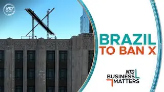 Brazil's Top Court Votes To Ban Musk's X | Business Matters (September 2)