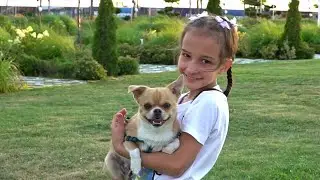 Всё очень просто. Даша Бойко.